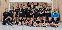 Minis 2015